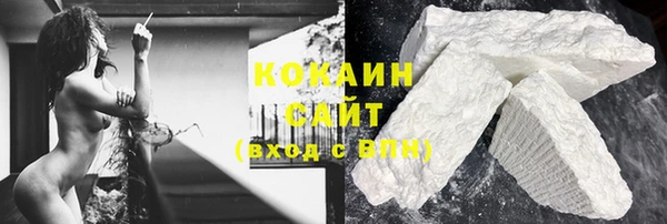 крисы Бронницы