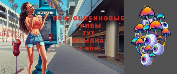 крисы Бронницы
