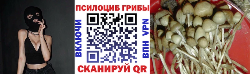 Псилоцибиновые грибы Magic Shrooms Ермолино